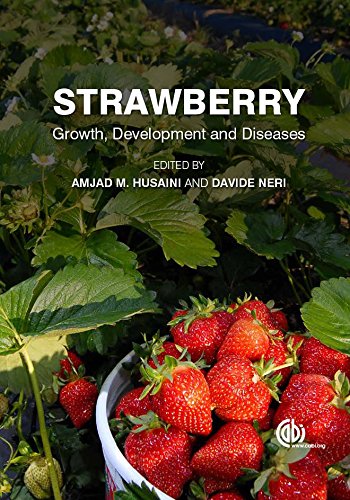 Strawberry Growth Development And Diseases Amjad M Husaini