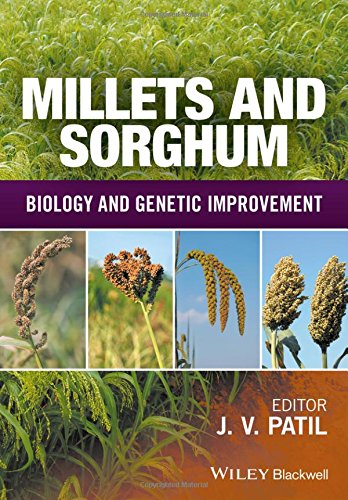 Millets And Sorghum Biology And Genetic Improvement 1st Edition Jagannath V Patil