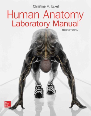 Human Anatomy Lab Manual Christine Eckel