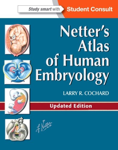 Netters Atlas Of Human Embryology Updated Larry R Cochard