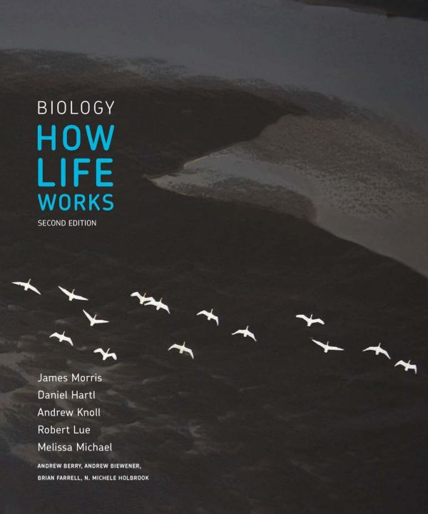 Biology How Life Works 2nd James Morris Et Al