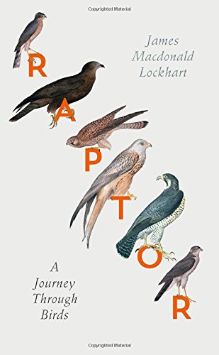 Raptor A Journey Through Birds 2nd Edition James Macdonald Lockhart