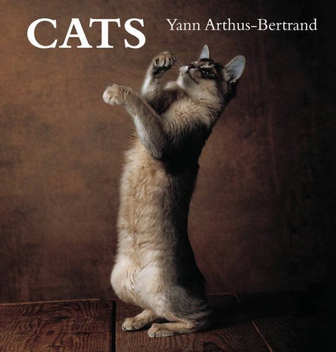 Cats Yann Arthusbertrand