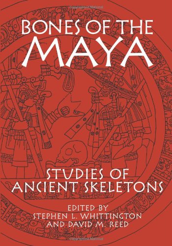 Bones Of The Maya Studies Of Ancient Skeletons 1st Edition Stephen L Whittington