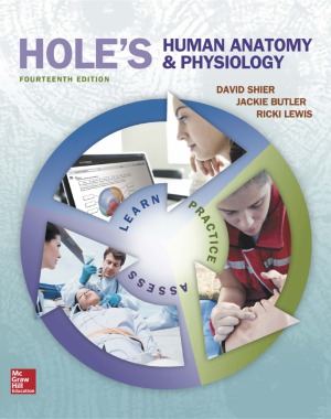 Holes Human Anatomy Physiology 14 Edition David Shier Jackie Butler