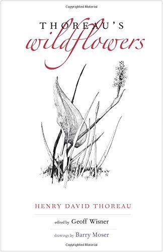 Thoreaus Wildflowers Henry David Thoreau Geoff Wisner Ed