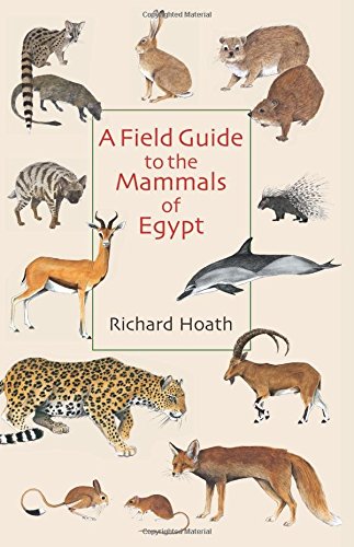 A Field Guide To The Mammals Of Egypt Illustrated Edition Richard Hoath