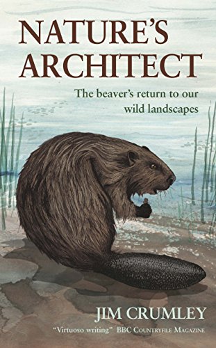 Natures Architect The Beavers Return To Our Wild Landscapes Jim Crumley