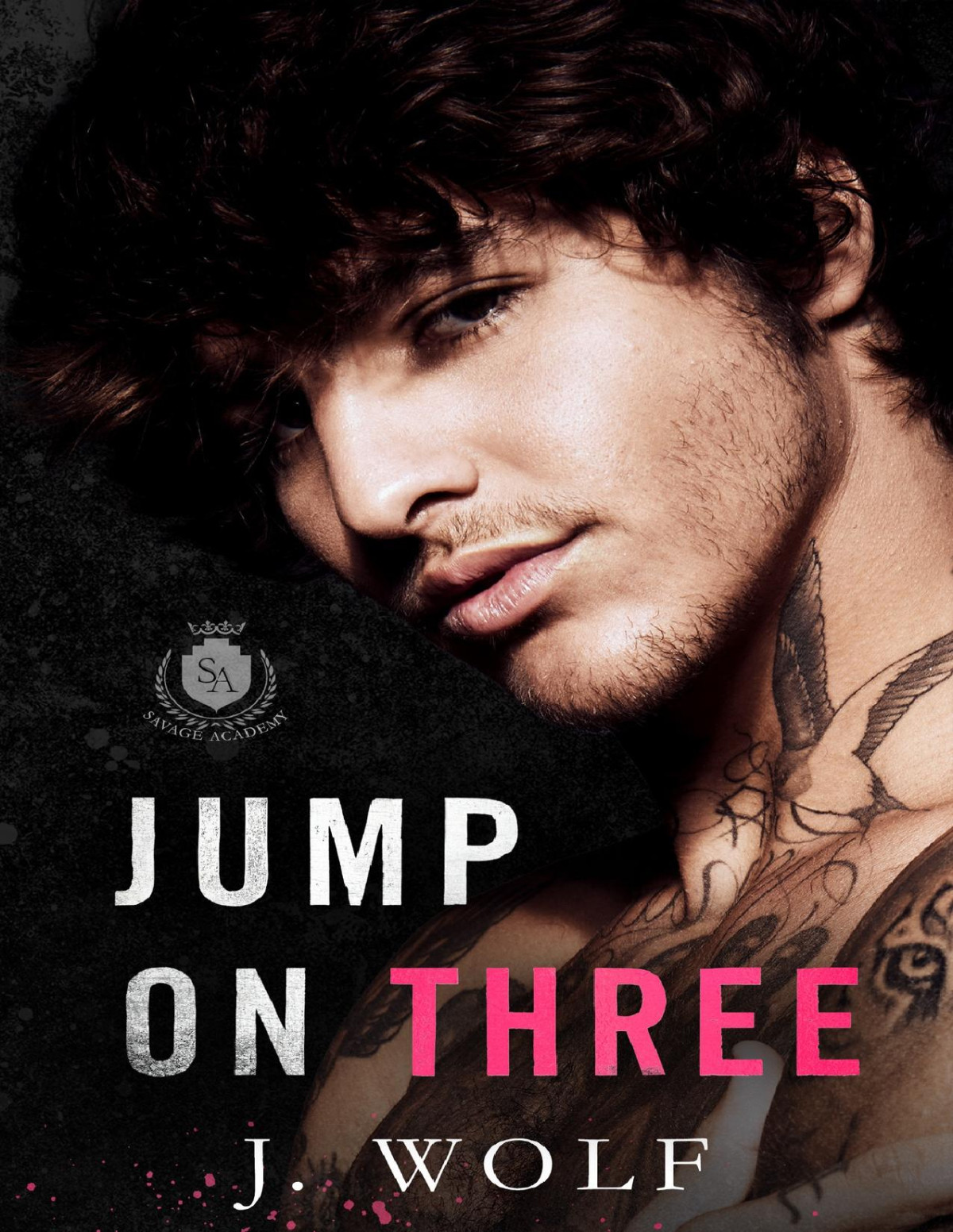 Jump On Three A Bad Boygood Girl Academy Romance Savage Academy Julia Wolf J Wolf
