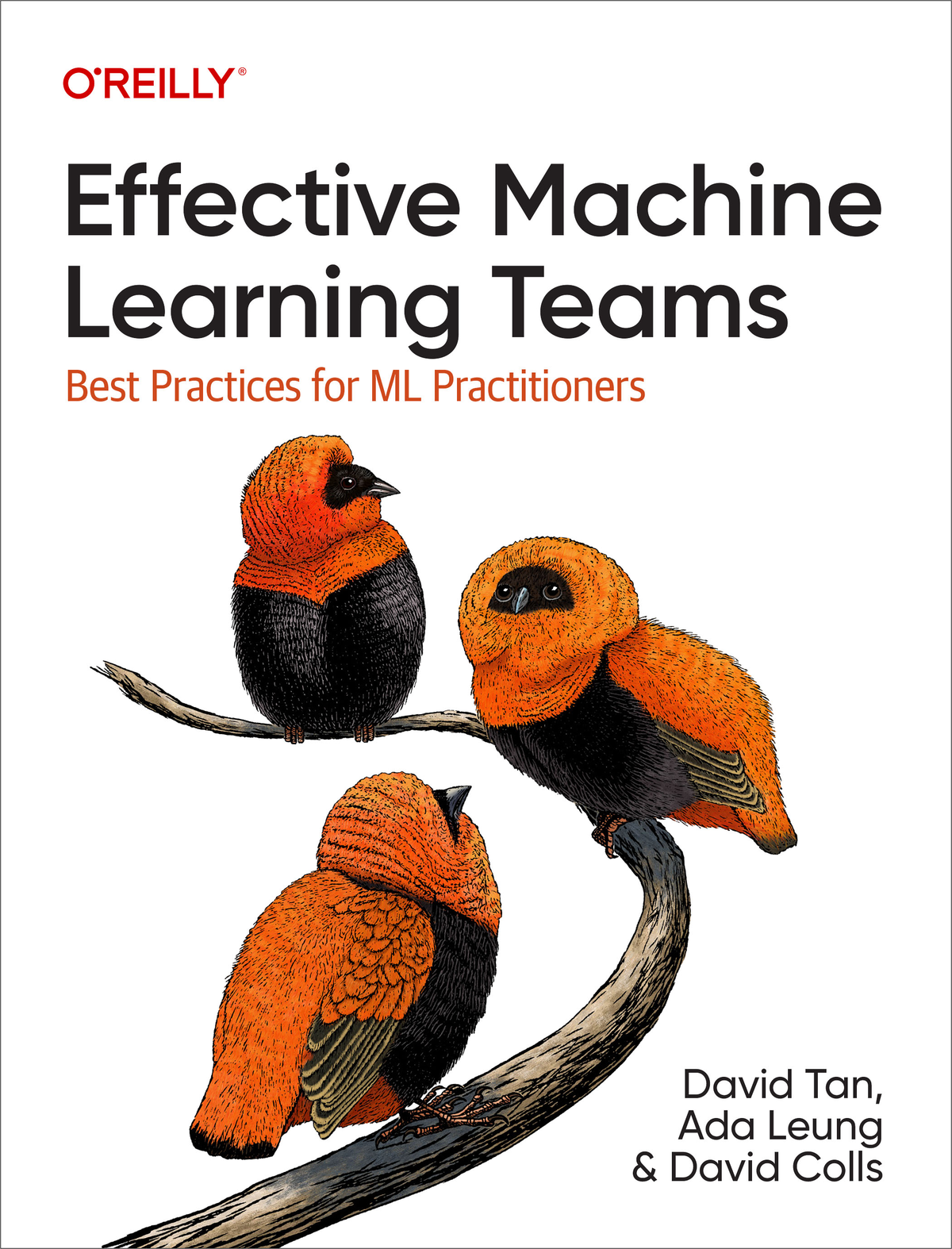 Effective Machine Learning Teams 1st Edition David Tan Ada Leung