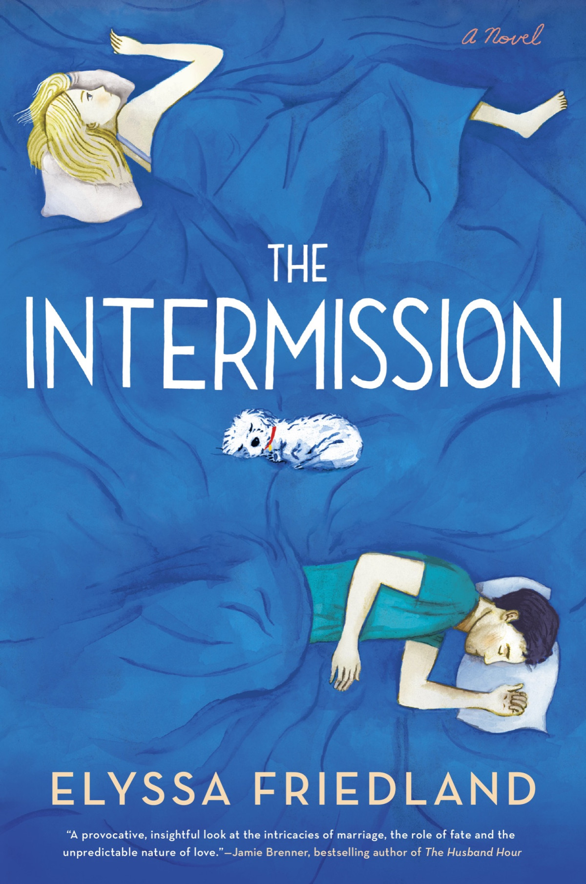 The Intermission Elyssa Friedland