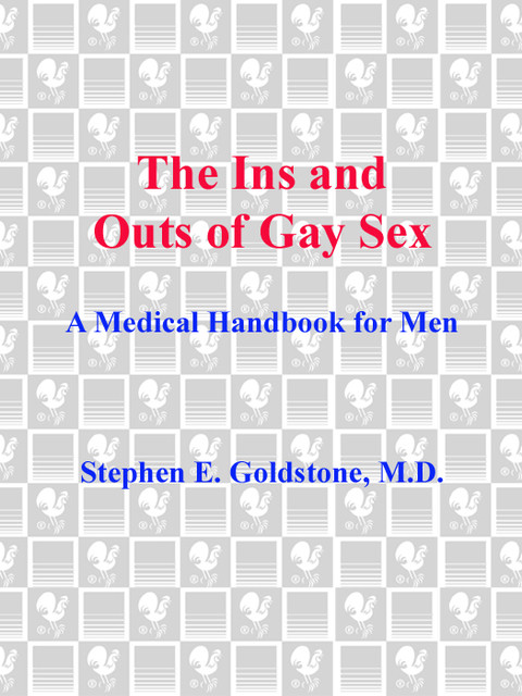 The Ins And Outs Of Gay Sex Stephen E Goldstone