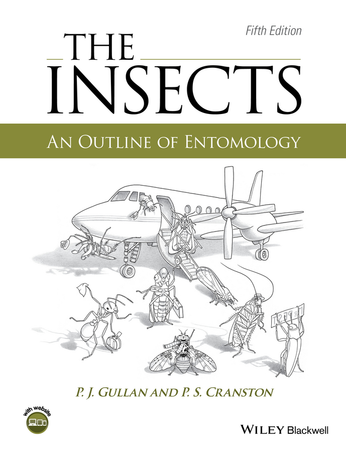 The Insects An Outline Of Entomology Gullan P J Cranston P S P S Cranston