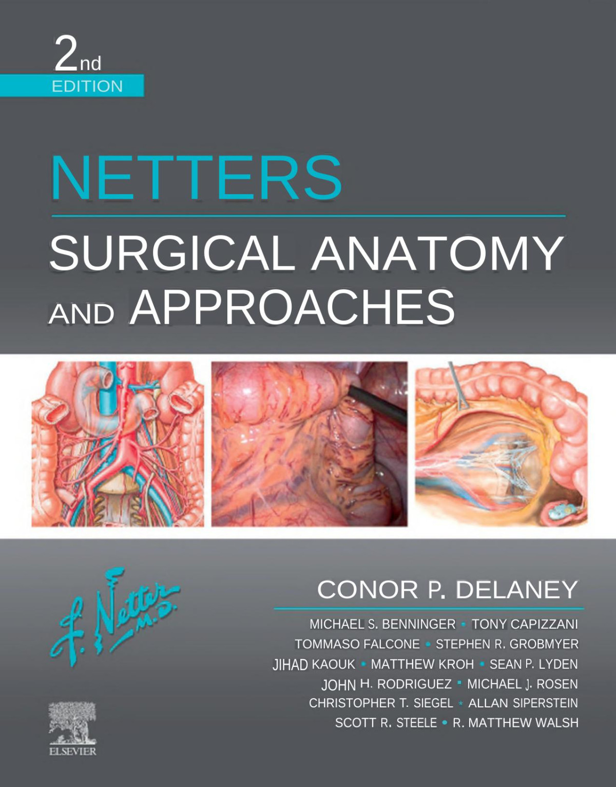 Netters Surgical Anatomy And Approaches Conor P Delaney Md Mch Phd Facs Frcsi Fascrs Frcsi Hon