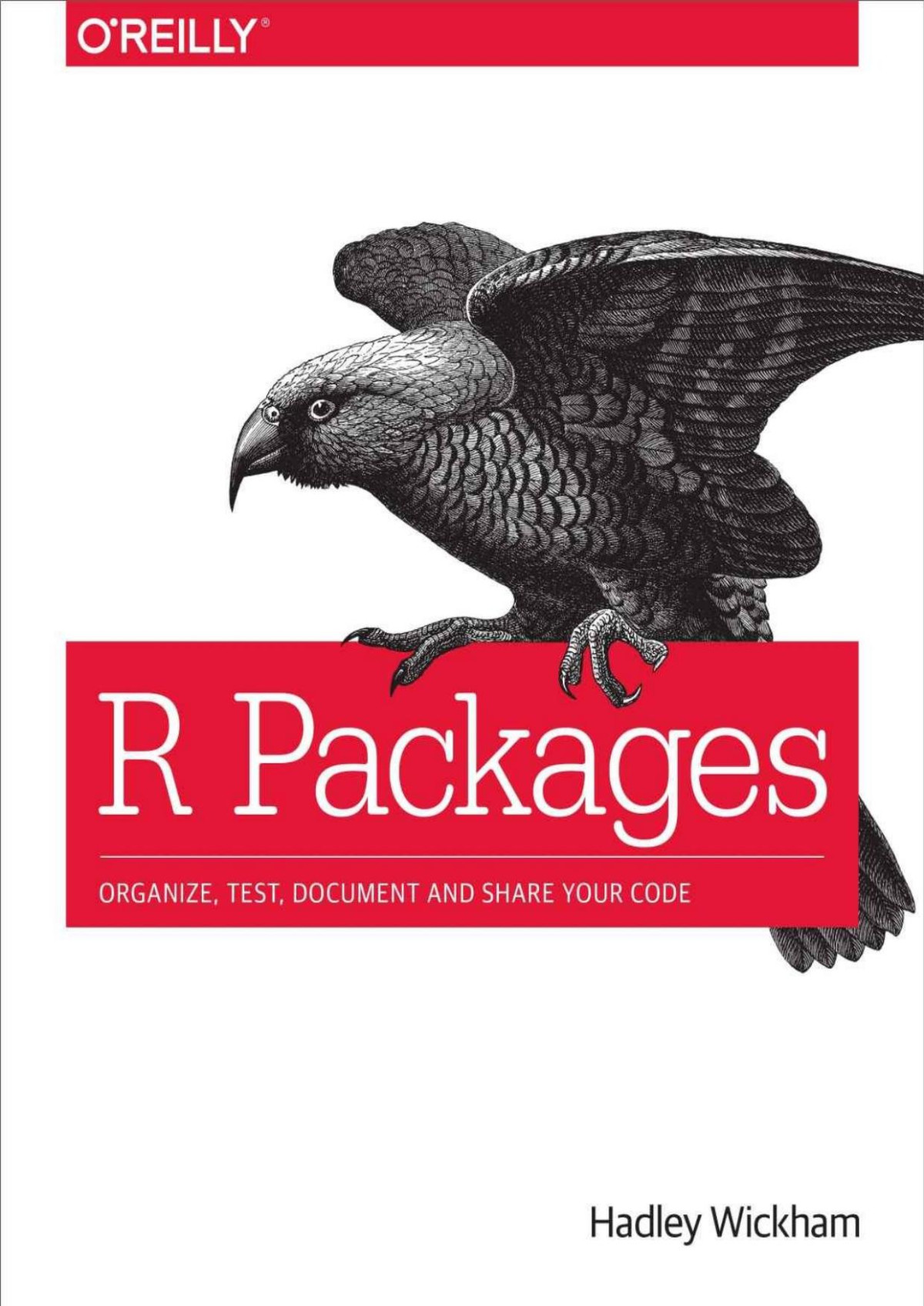 R Packages Hadley Wickham