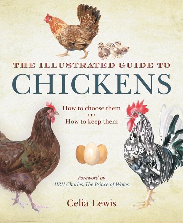 The Illustrated Guide To Chickens Celia Lewis