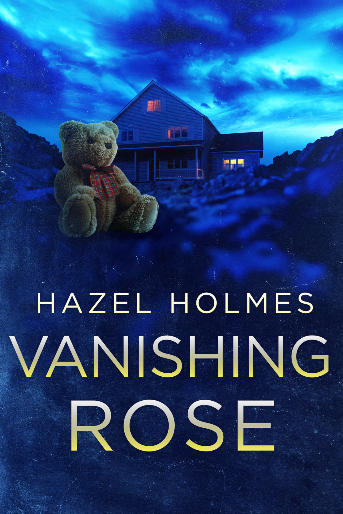 Vanishing Rose A Small Town Riveting Kidnapping Mystery Hazel Holmes