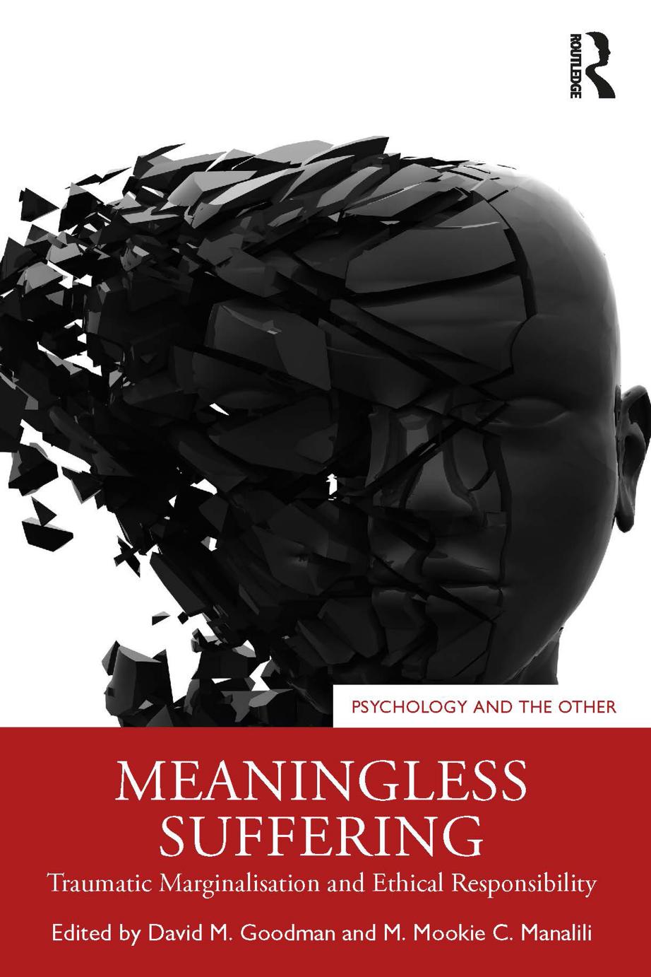 Meaningless Suffering Traumatic Marginalisation And Ethical Responsibility 1st Edition David Goodman