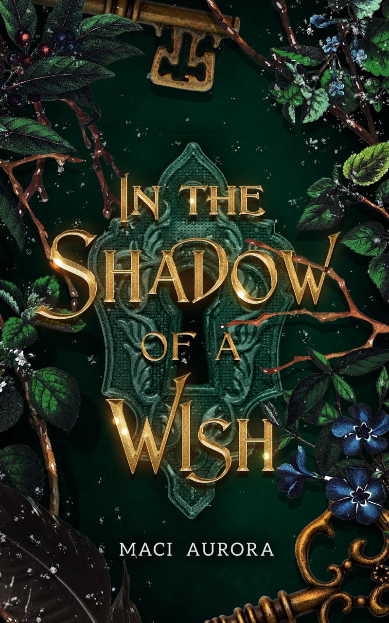 In The Shadow Of A Wish Fareview Fairy Tale Book 1 Fareview Fairy Tales Aurora