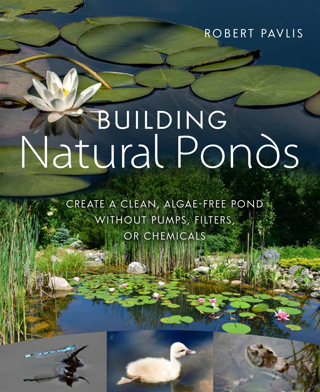 Building Natural Ponds Create A Clean Algaefree Pond Without Pumps Filters Or Chemicals Robert Pavlis