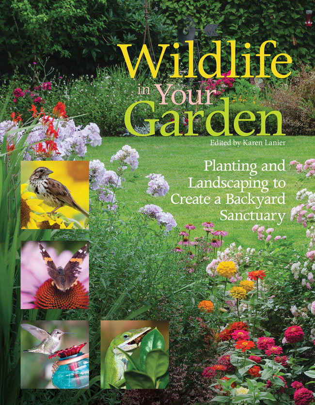 Wildlife In Your Garden Karen Lanier