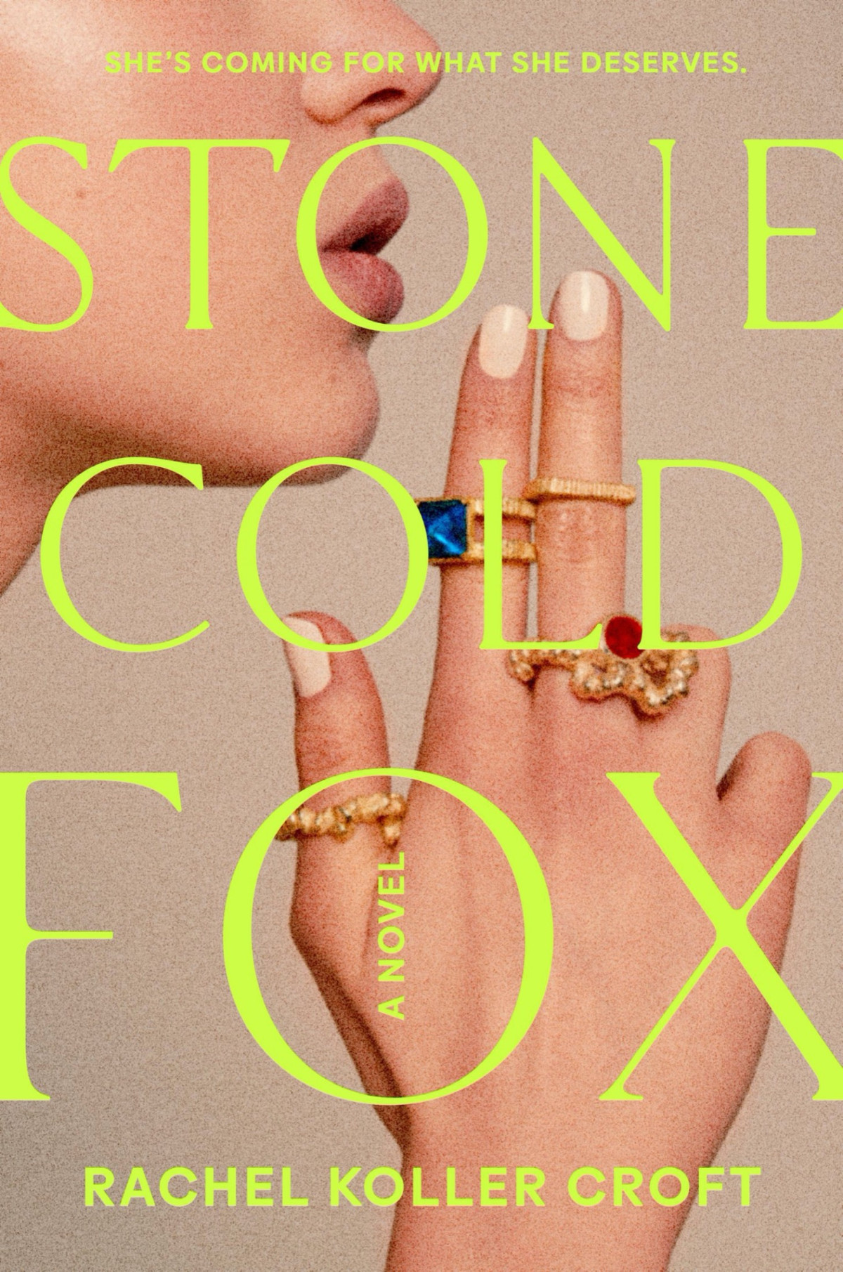 Stone Cold Fox Rachel Koller Croft