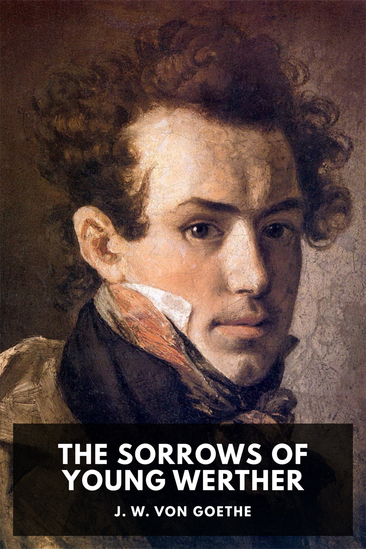 The Sorrows Of Young Werther J W Von Goethe