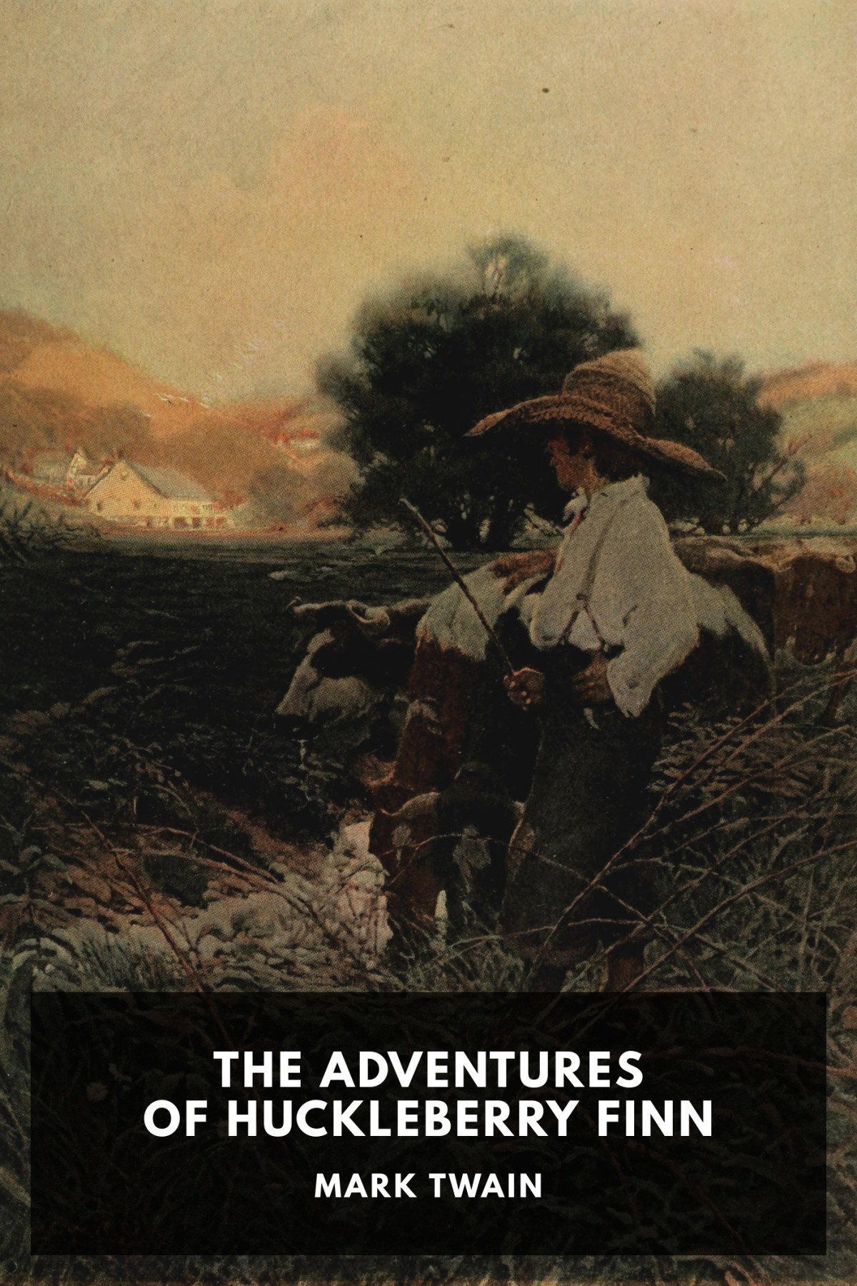 The Adventures Of Huckleberry Finn Mark Twain
