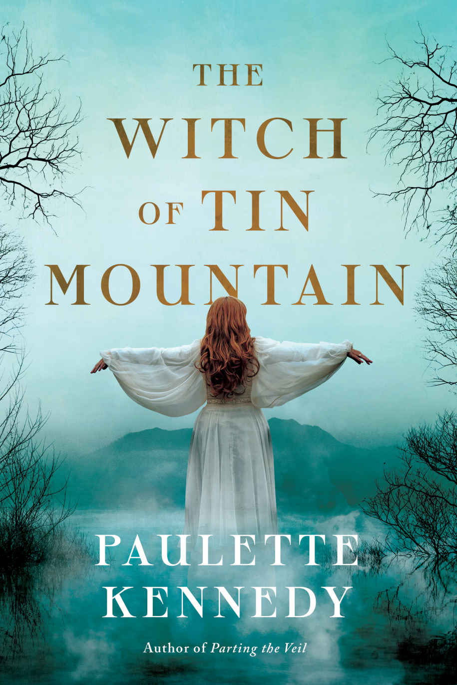 The Witch Of Tin Mountain Paulette Kennedy