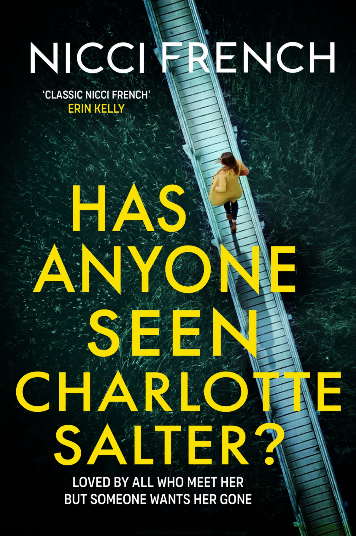 Has Anyone Seen Charlotte Salter Nicci French