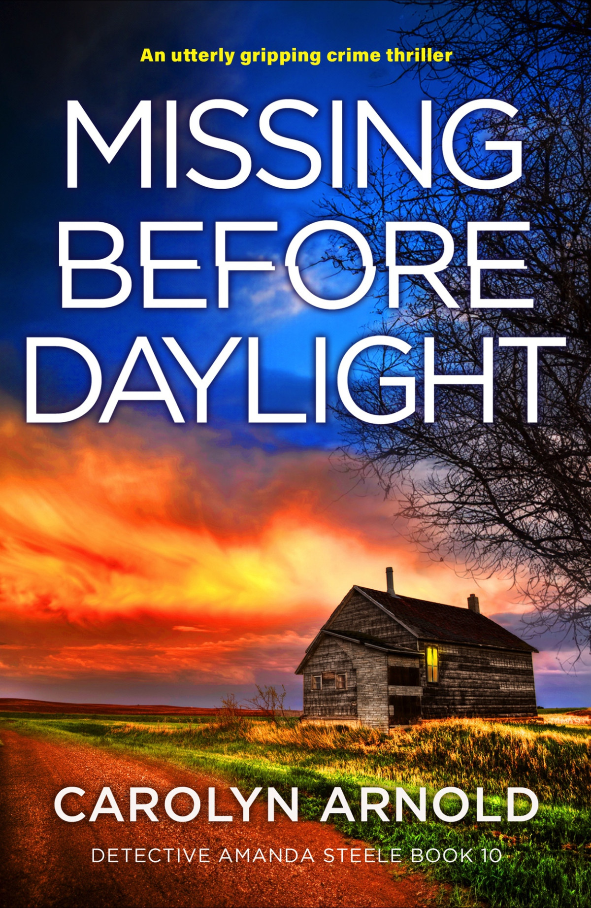 Missing Before Daylight An Utterly Gripping Crime Thriller Detective Amanda Steele Book 10 Carolyn Arnold