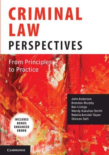 Criminal Law Perspectives From Principles To Practice Anderson