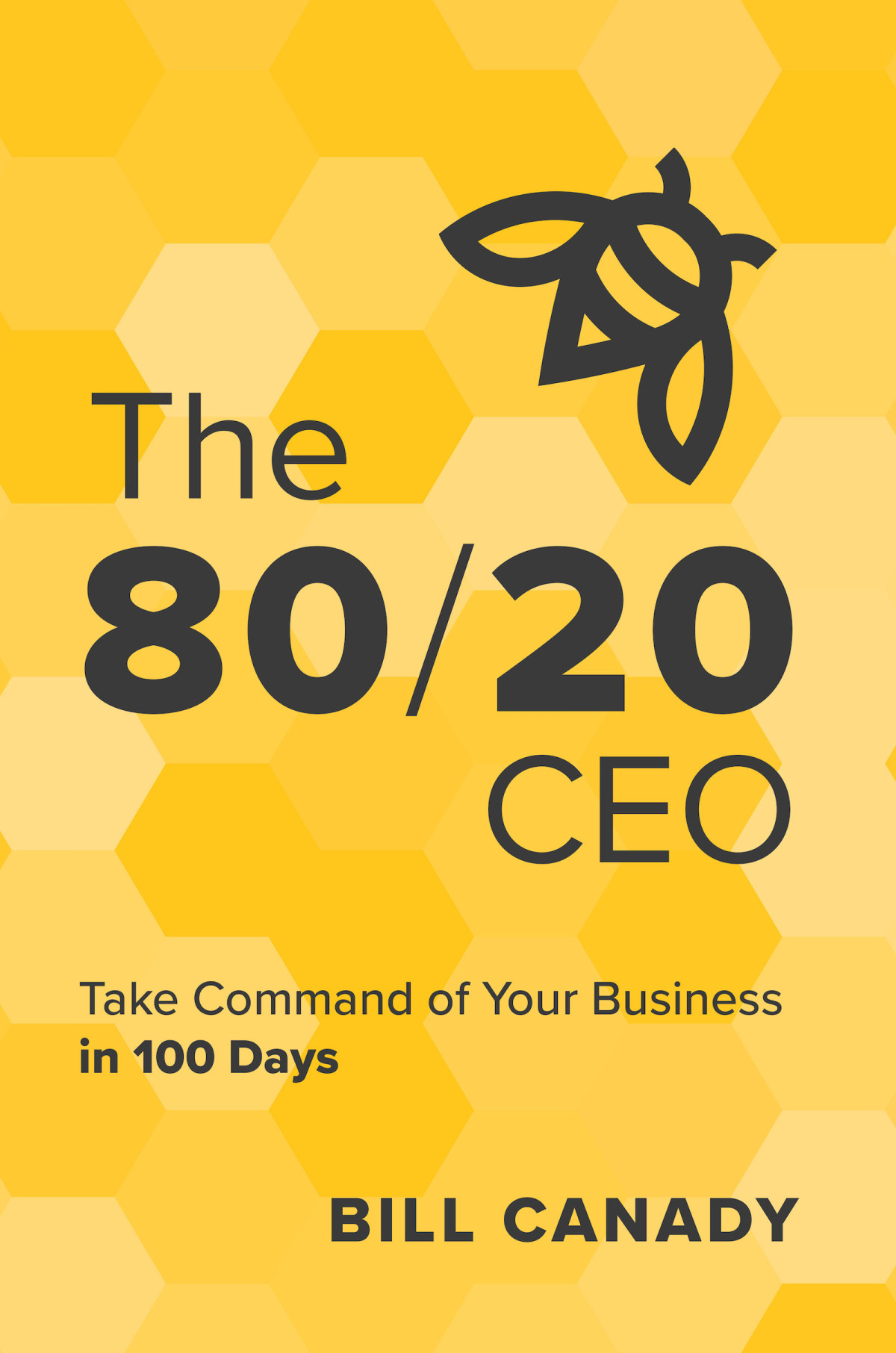 The 8020 Ceo Take Command Of Your Business In 100 Days Bill Canady