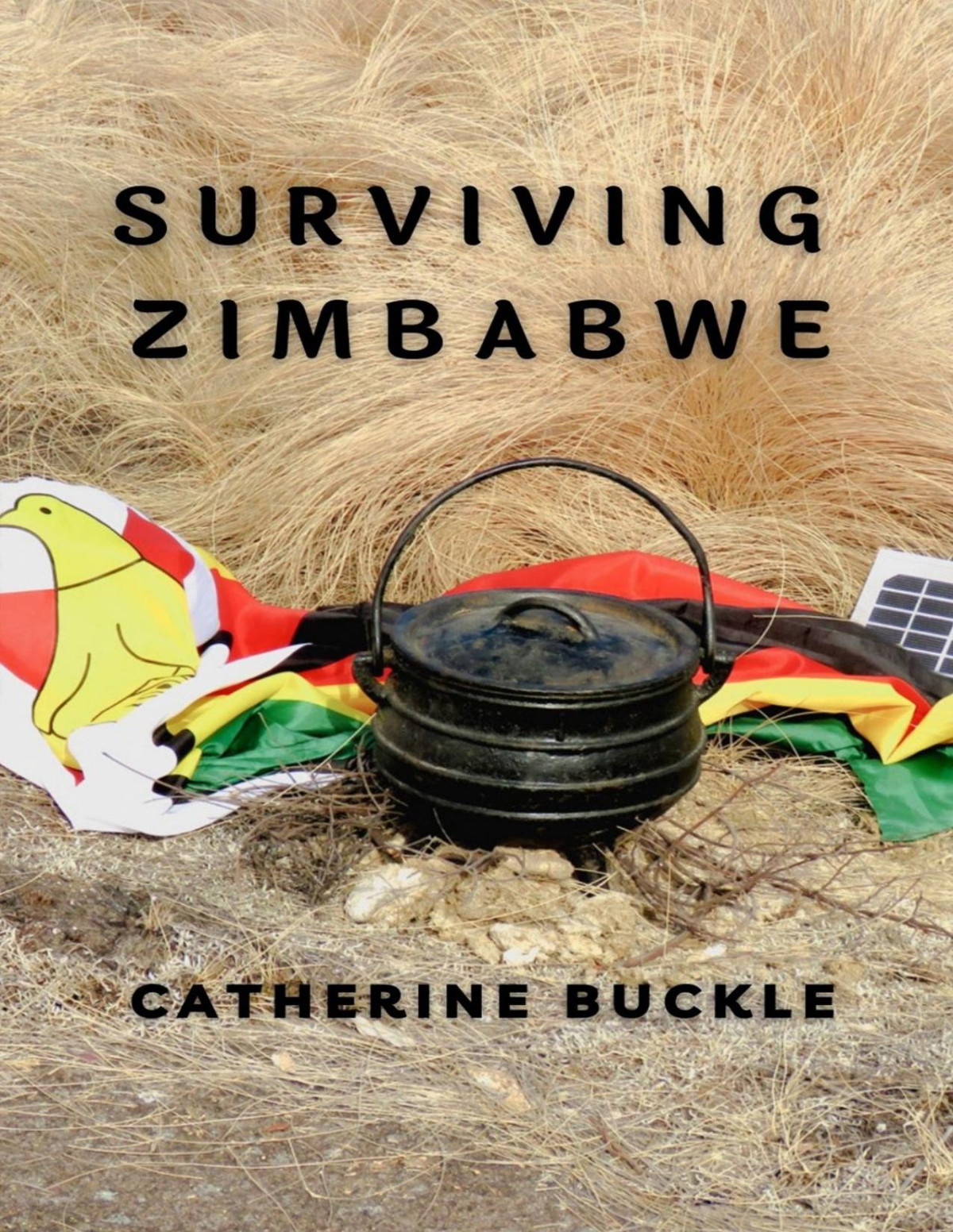 Surviving Zimbabwe Life During Political Crises Buckle Catherine