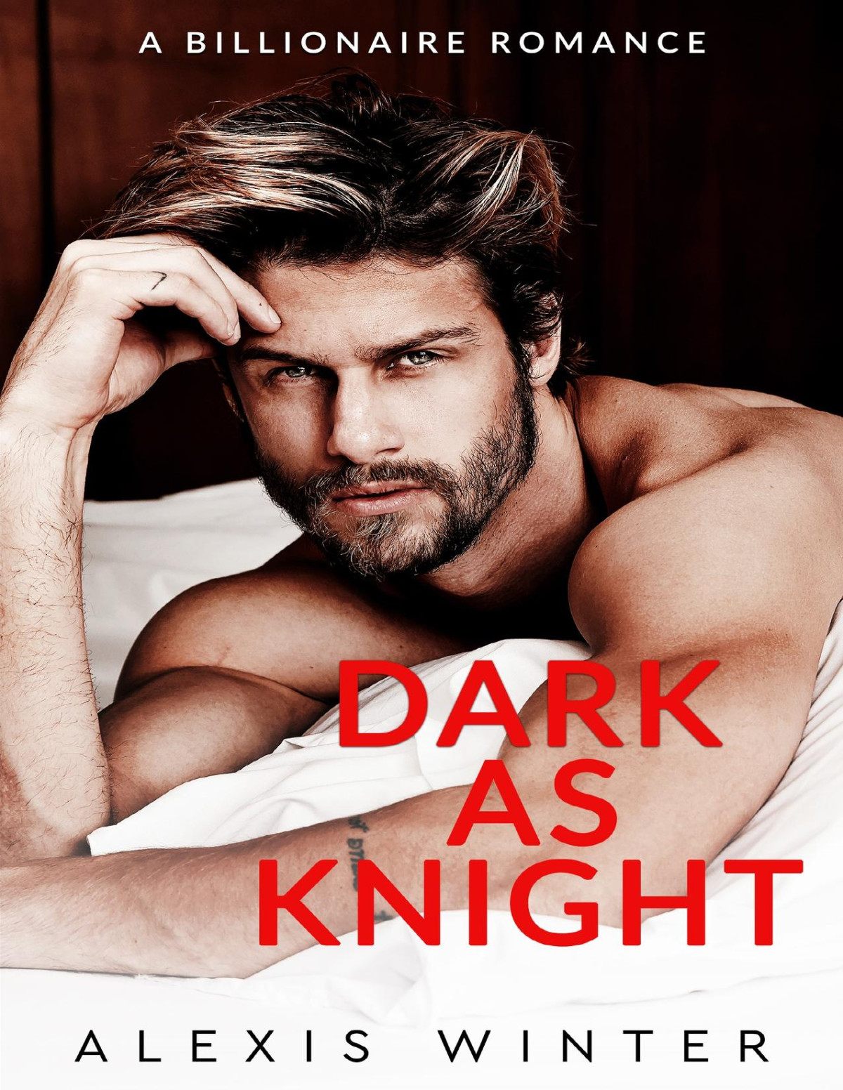 Dark As Knight A Billionaire Romance Alexis Winter