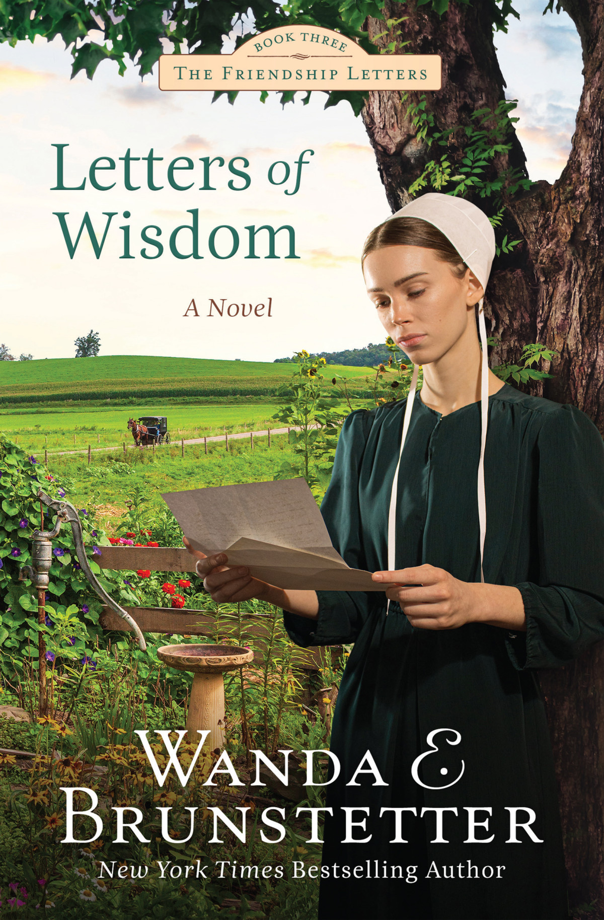Letters Of Wisdom Wanda E Brunstetter