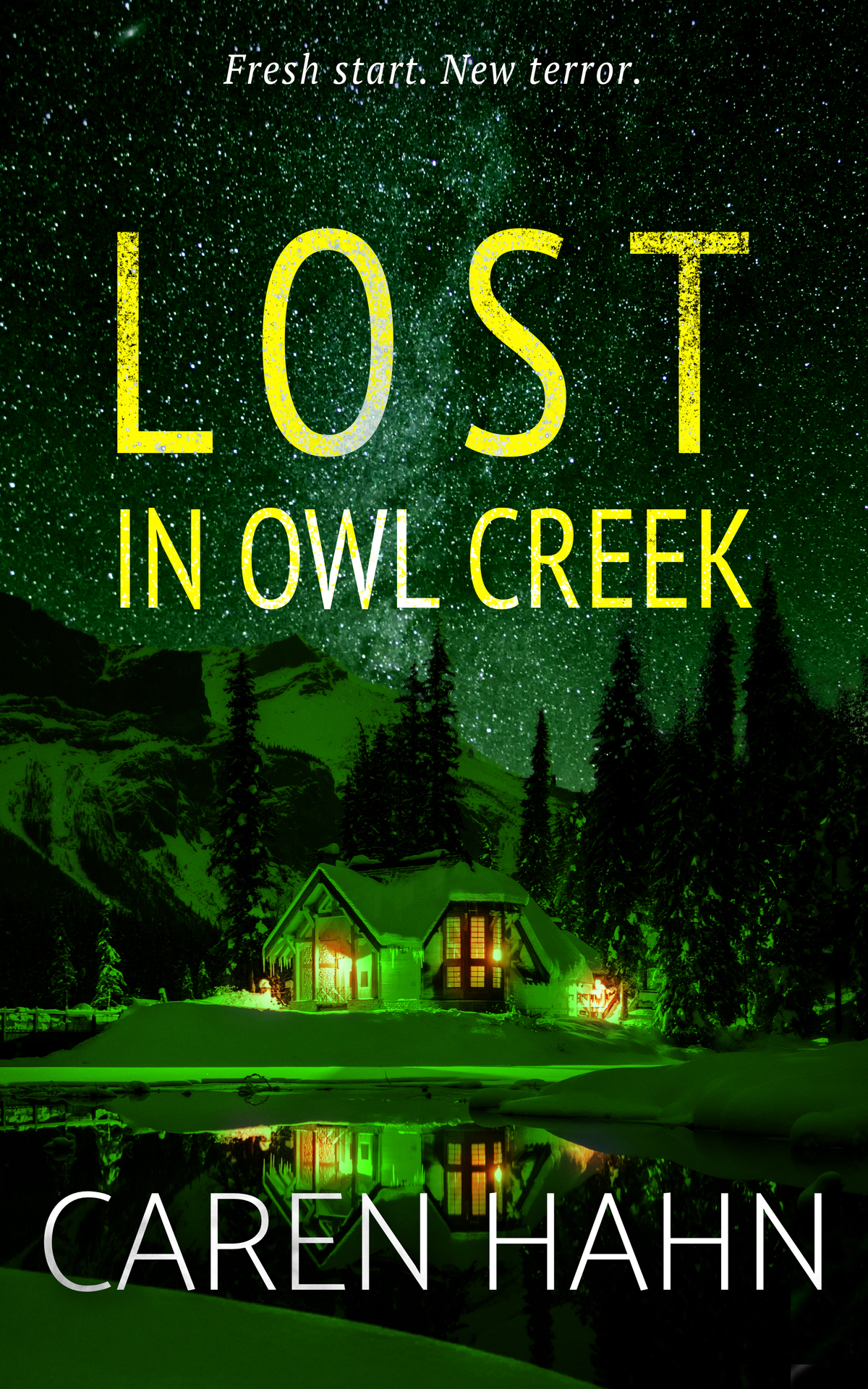 Lost In Owl Creek Owl Creek Series Book 3 Caren Hahn