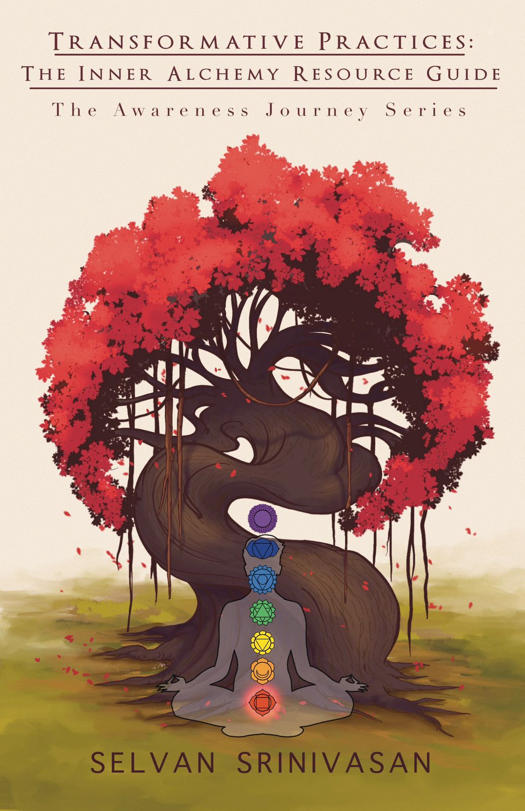 Transformative Practices The Inner Alchemy Resource Guide The Awareness Journey Series Tales From The Awareness Journey Series Srinivasan