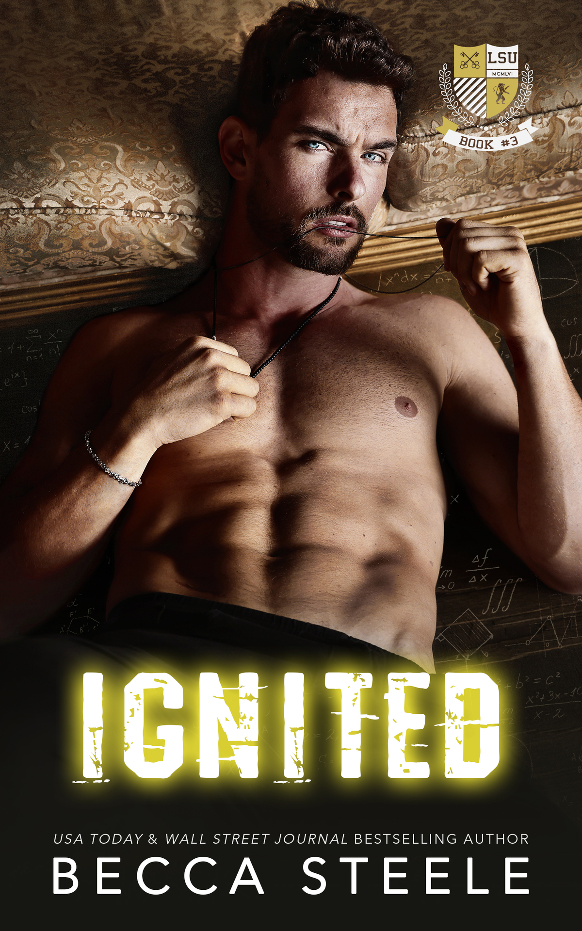 Ignited An Mm College Romance Becca Steele