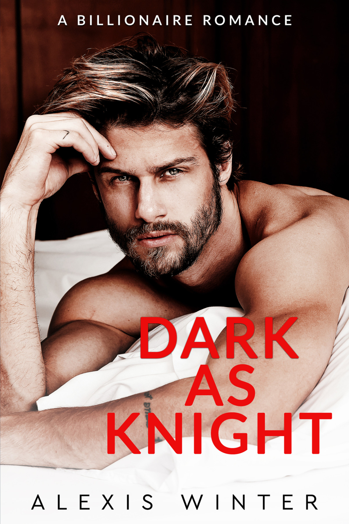 Dark As Knight A Billionaire Romance Alexis Winter Kimberly Stripling Sarah Kil