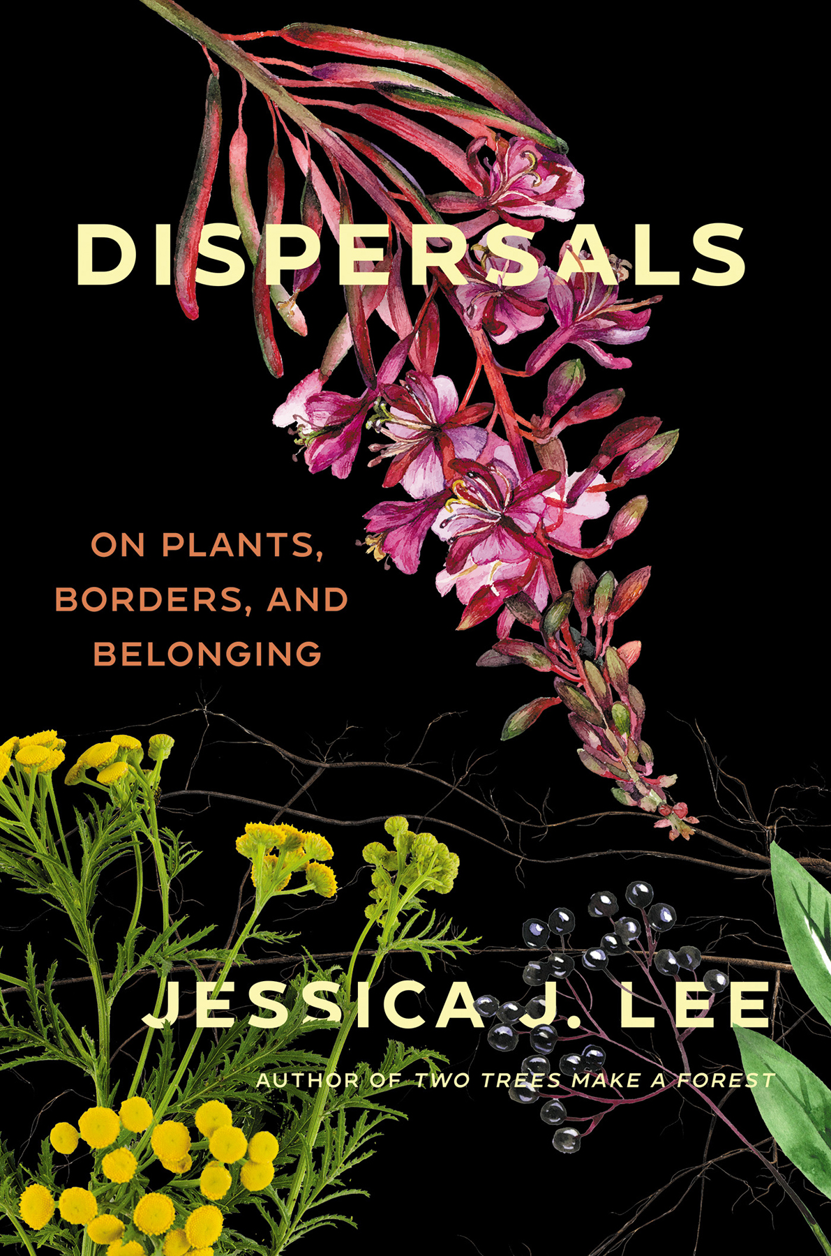 Dispersals On Plants Borders And Belonging Jessica J Lee