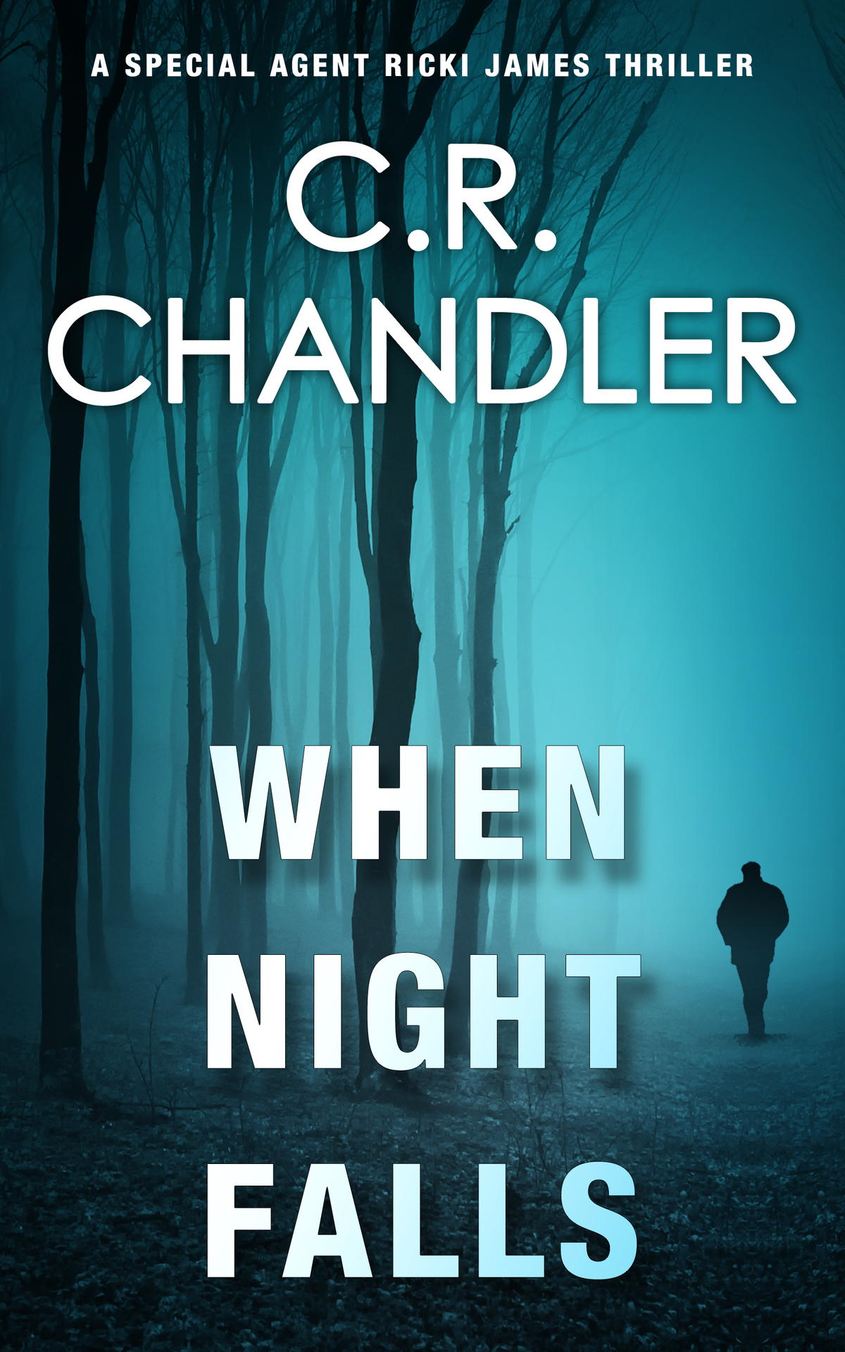 When Night Falls C R Chandler