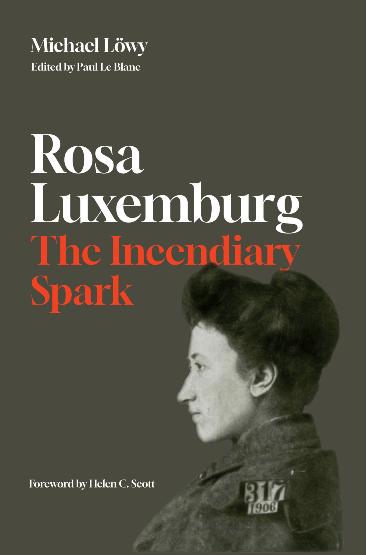 Rosa Luxemburg The Incendiary Spark Essays Michael Lwy
