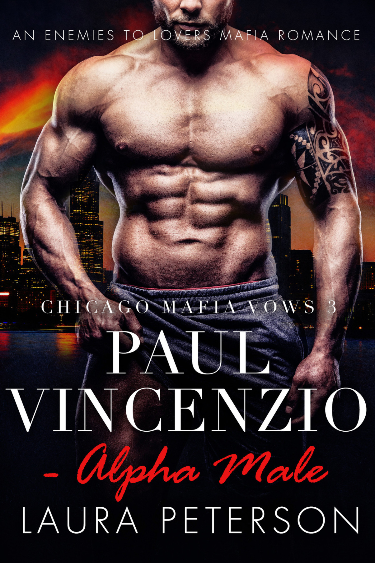 Paul Vincenzio Alpha Male Chicago Mafia Vows Book 3 An Enemies To Lovers Mafia Romance Laura Peterson