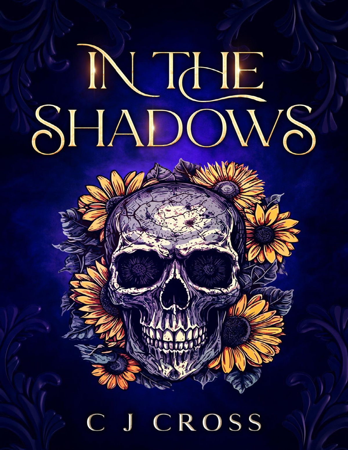 In The Shadows The Prophecy Of Darkness And Light Book 1 C J Cross