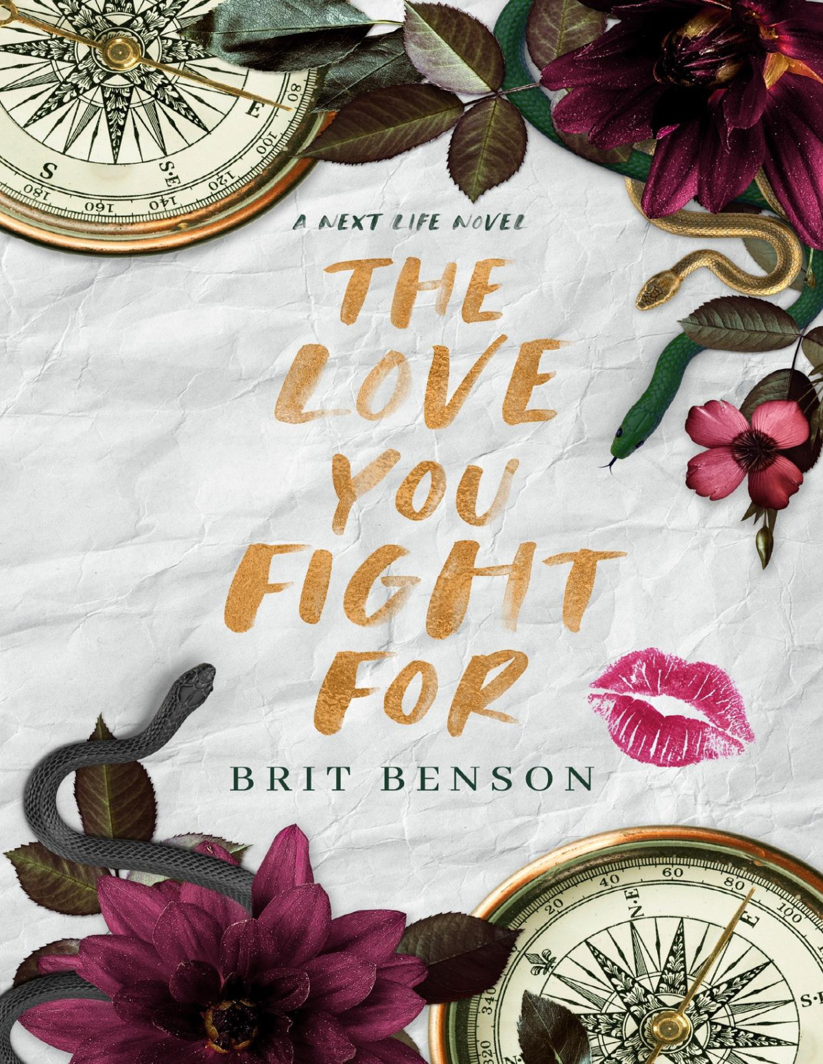 The Love You Fight For Next Life Book 3 Brit Benson