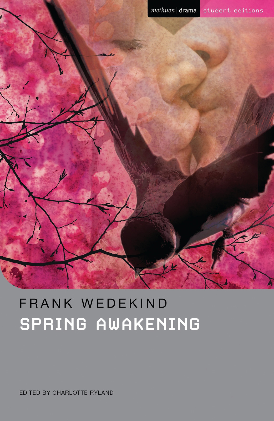 Spring Awakening Frank Wedekind
