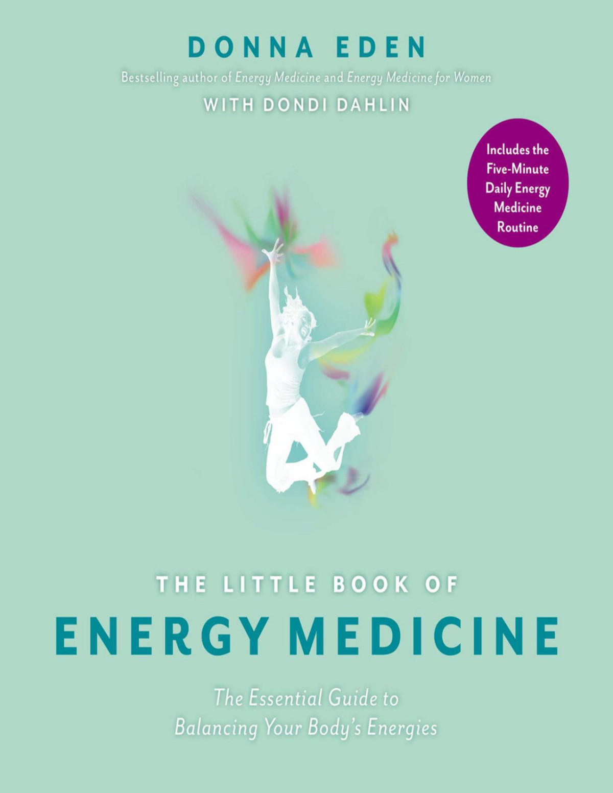 The Little Book Of Energy Medicine Donna Eden
