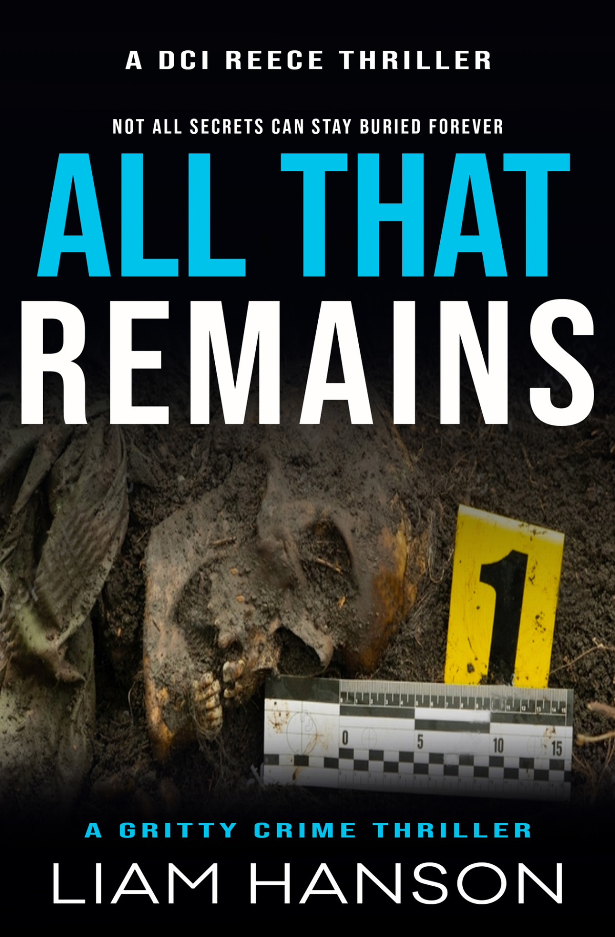 All That Remains 1st Edition Liam Hanson