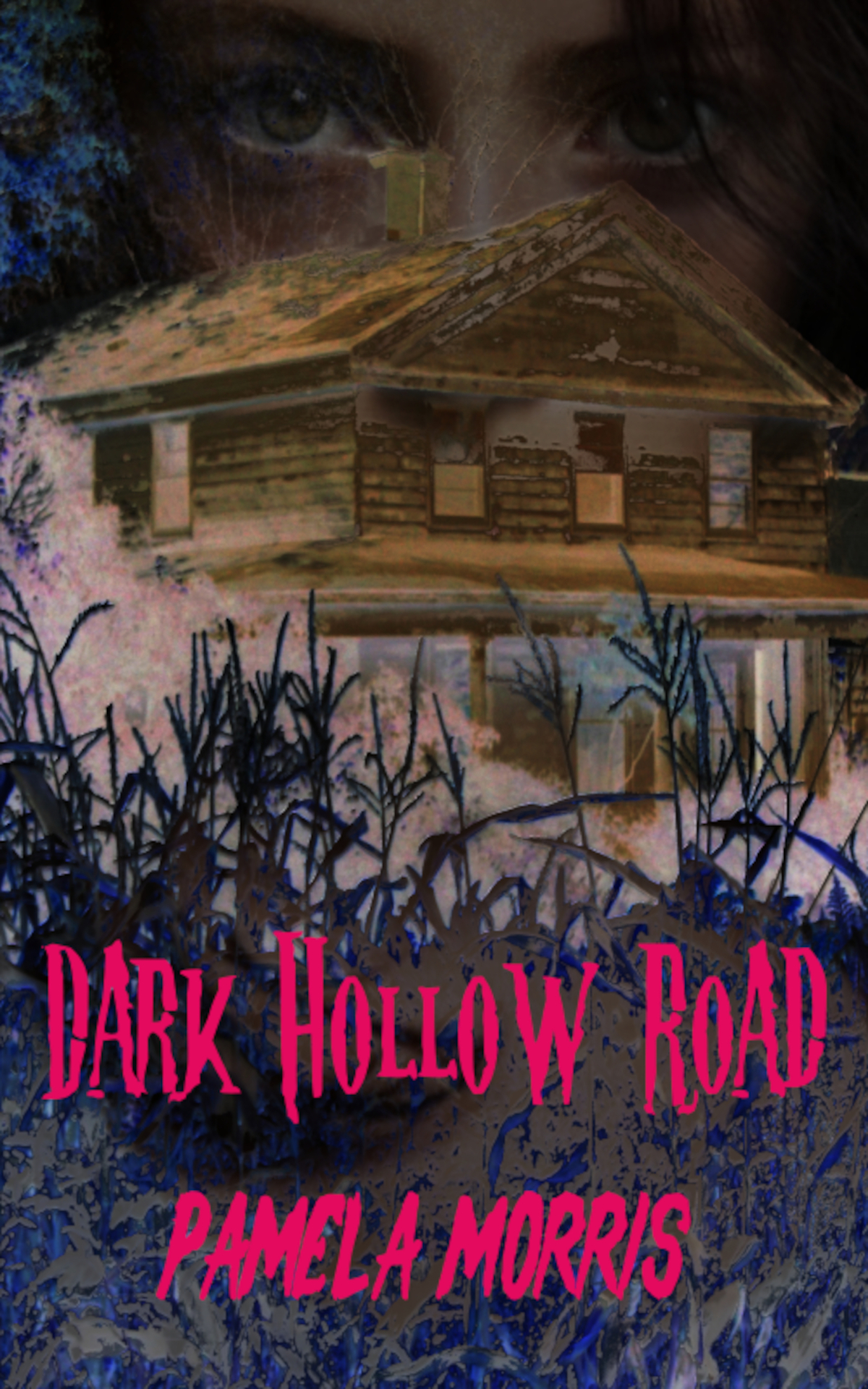 Dark Hollow Road Pamela Morris